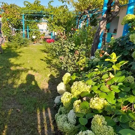 Gasthof Casa Anhela Corbu (Constanta)